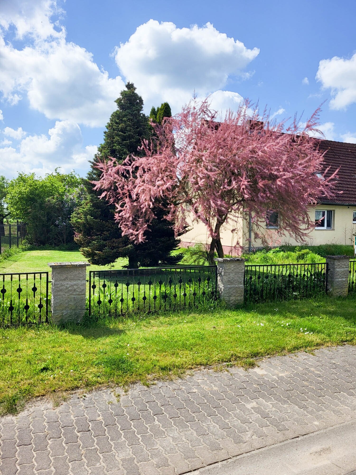 Blick von der Straße