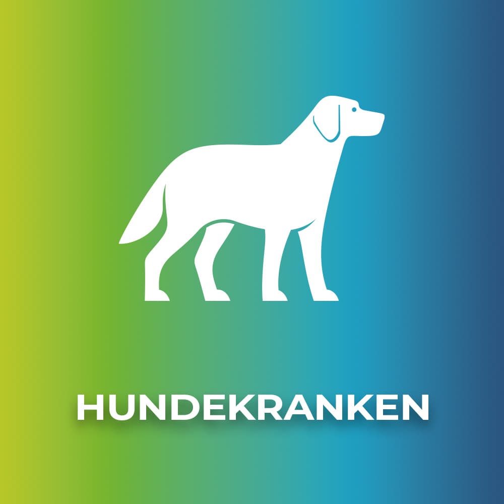 Hundekrankenversicherung