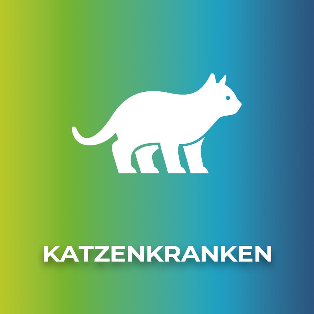 Katzenkrankenversicherung